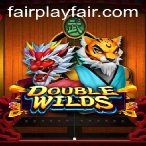Discovering DoubleWilds: FairPlay in a New Era of Gaming